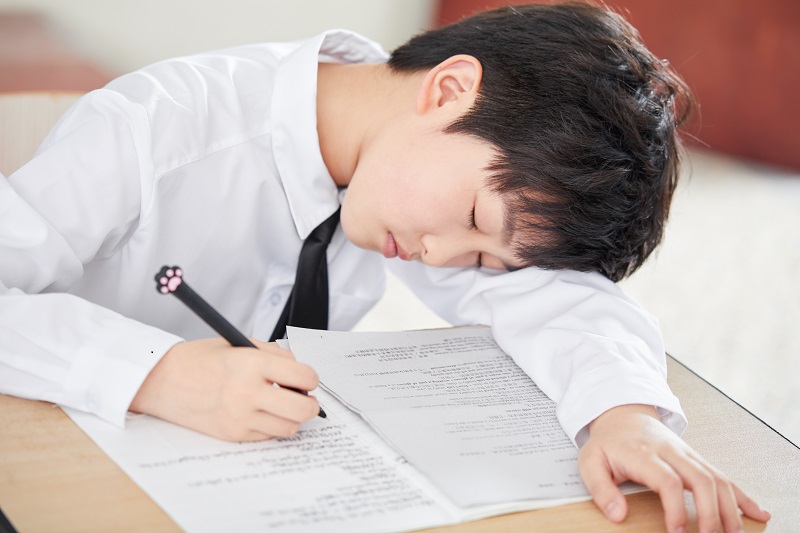 平阳暑假夏令营
